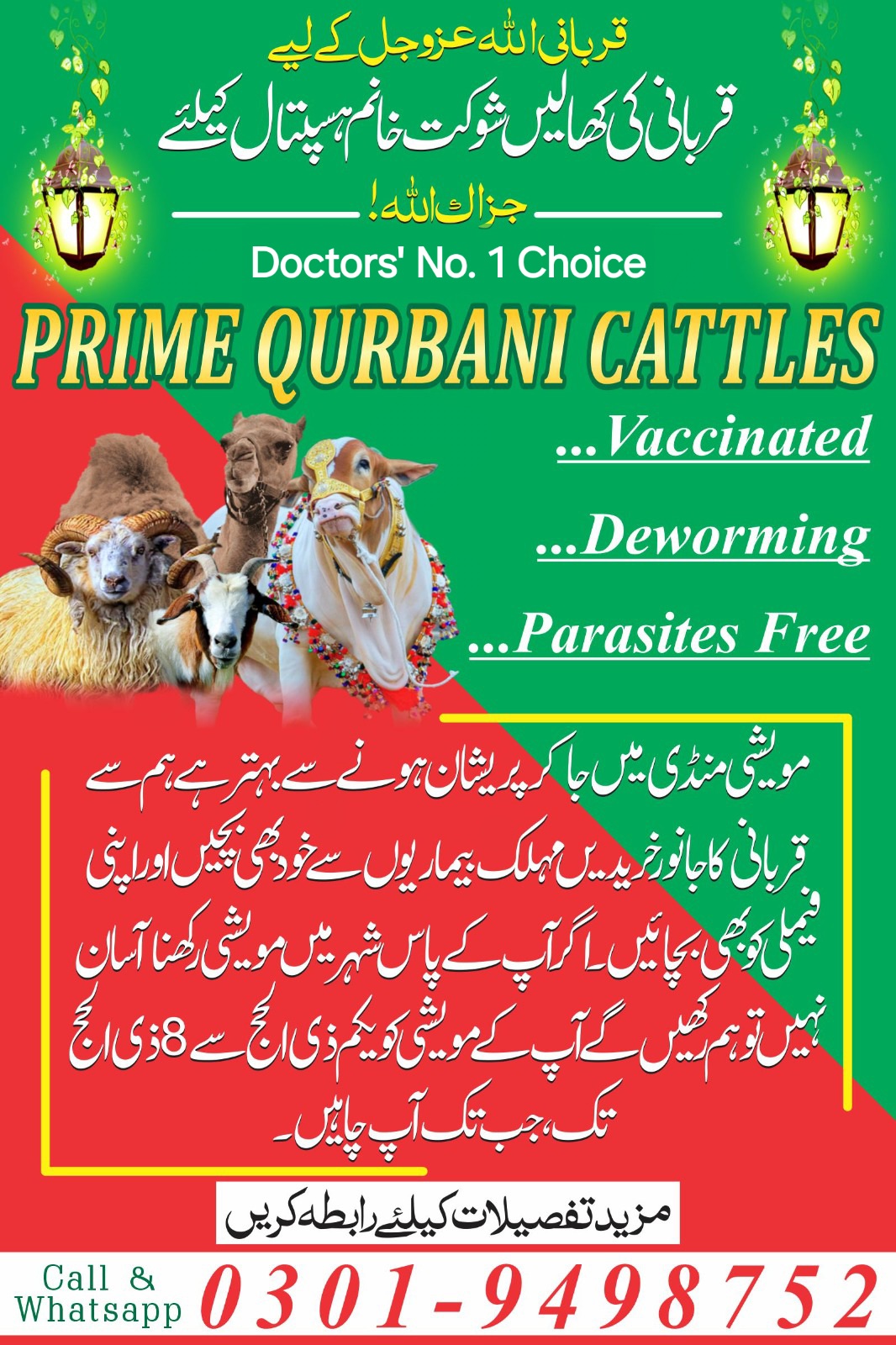 Prime Qurbani Cattles