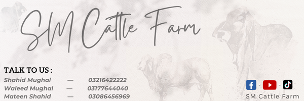 0 offer