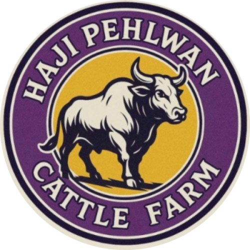 Haji Pehlwan Cattle Farm
