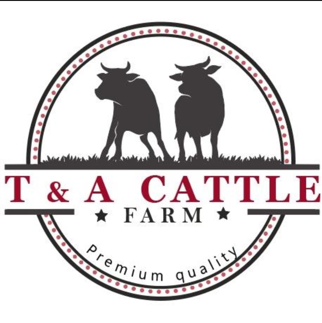 TAJ & Asad cattle farm