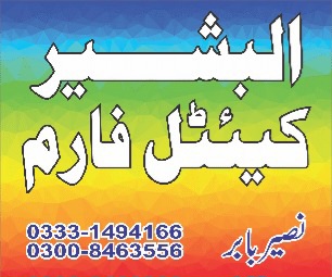 2 offer